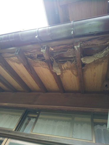 沼津市瓦屋根軒裏腐食