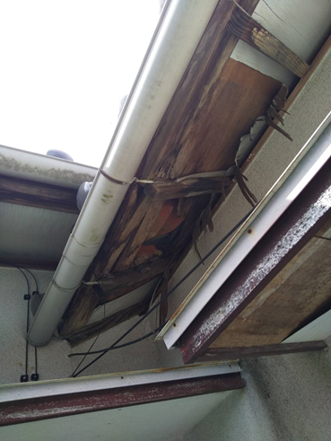 沼津市瓦屋根軒裏ベニヤ