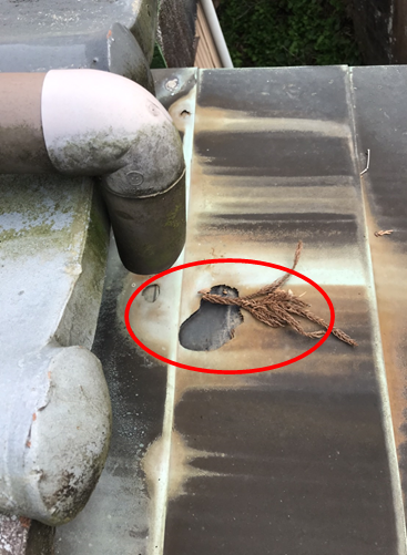沼津市瓦屋根雨漏り銅板穴