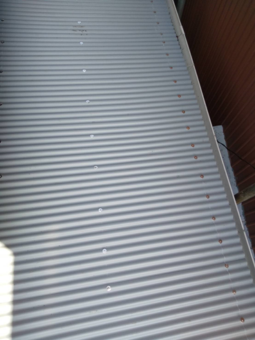 沼津雨漏り波板張替