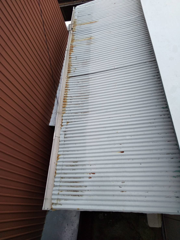 沼津雨漏り波板劣化