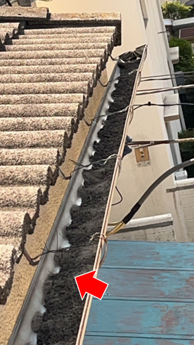 沼津市雨樋汚泥詰まり