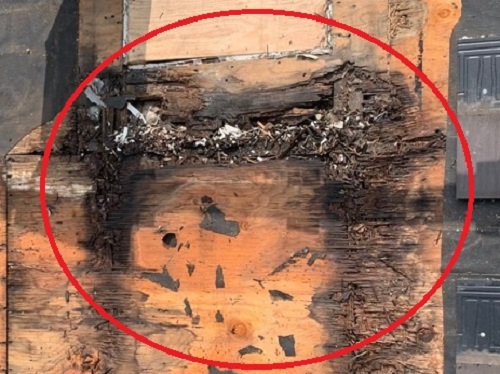 天窓の野地板腐食