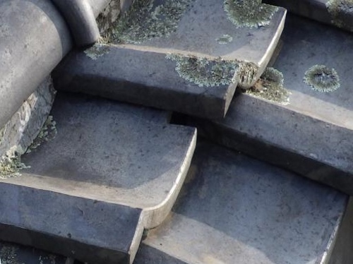 瓦がズレている