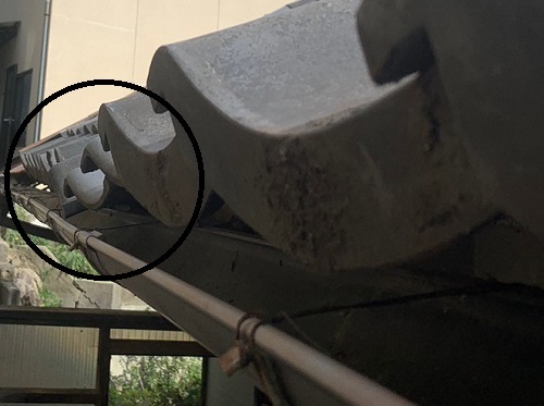 尾道市にて借家瓦屋根のずれている瓦調査でビス固定を提案北側屋根葺き土が痩せたことが原因