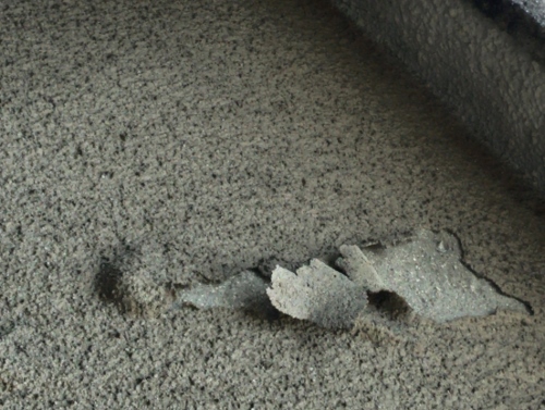 広島県府中市にて外壁塗装補修前の無料調査｜モルタル壁の剥がれ壁塗装剥がれ