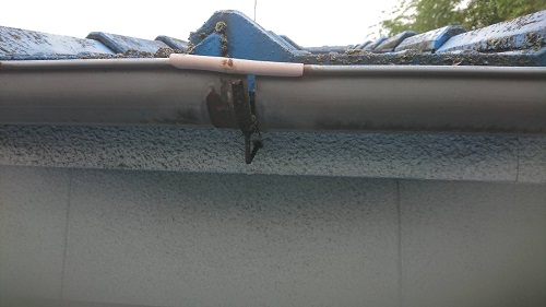 雨樋の劣化写真