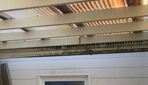 駐車場屋根の変色