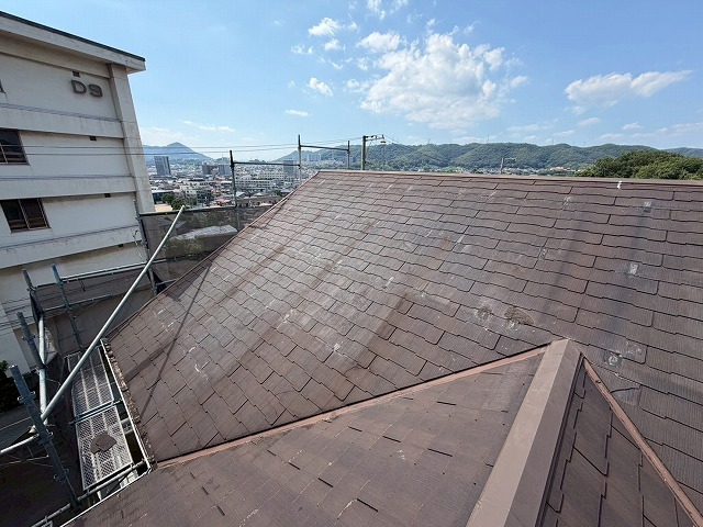 撤去後の屋根全体