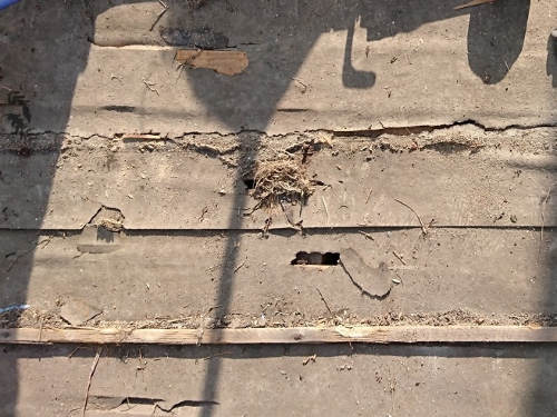 ルーフィングの傷み