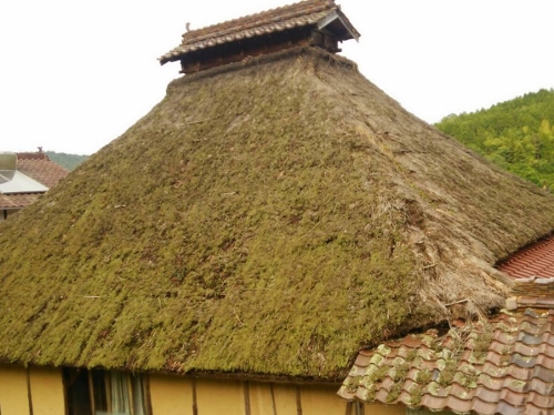 茅葺き雨漏り