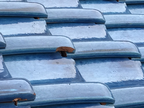 福山市で瓦屋根の雨漏り点検！無料で雨漏りトラブルの原因を解明瓦の欠け