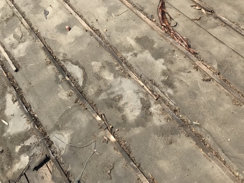 野地板が濡れた痕