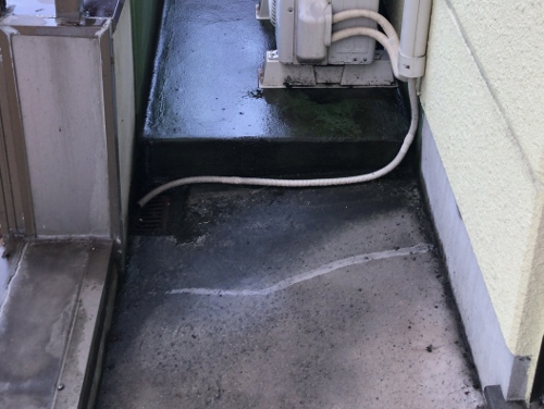 雨漏り箇所