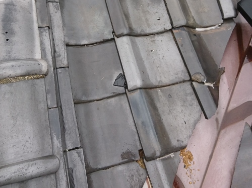 府中市瓦屋根雨漏り調査流れ出た土