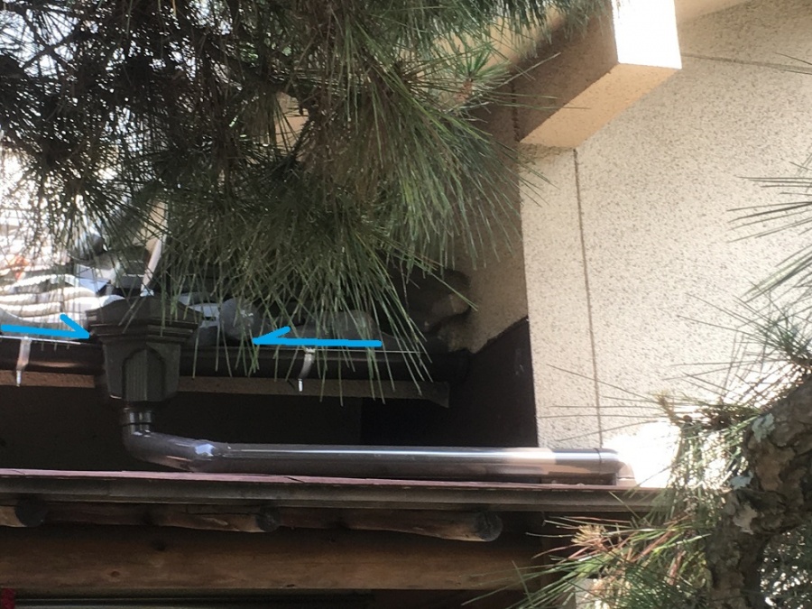 樋・集水器 移設後