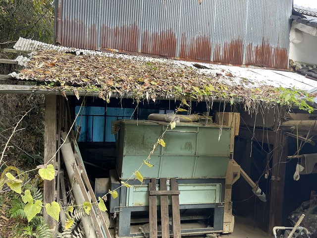 落ち葉が堆積し、屋根面が覆われている状態