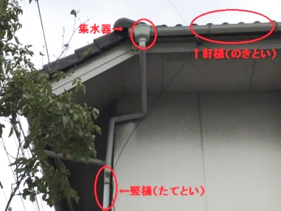 雨樋の名前