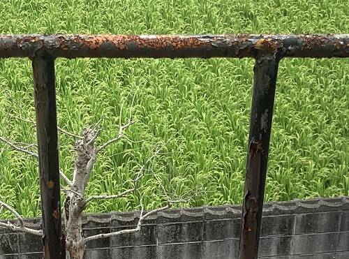 福山市でサビが広がる瓦棒屋根の屋根葺き替え工事と手すり撤去事前調査