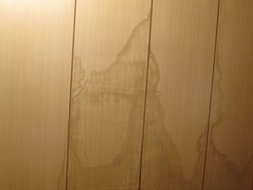 雨漏り天井シミ写真