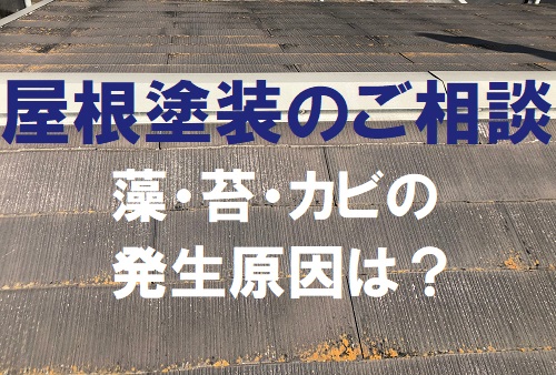 屋根塗装のご相談