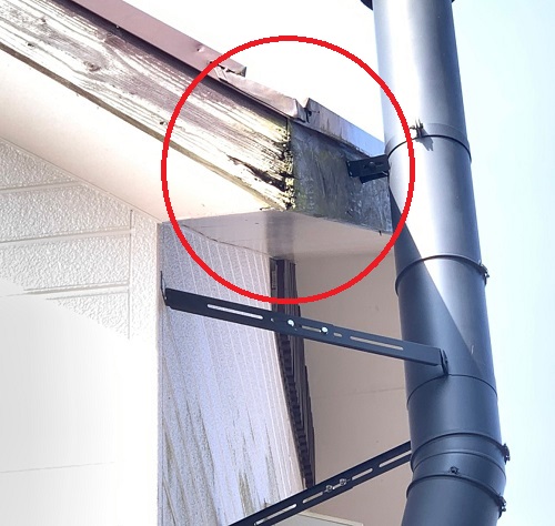 腐食した鼻かくし