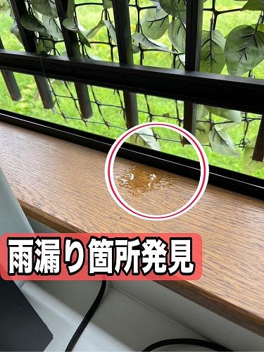 福山市にて天井クロスが剥がれ窓枠に雨水が溜まった一軒家の調査