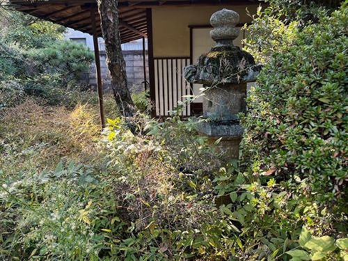 福山市にある一軒家の庭で雑草除去(草むしり)作業を行いました