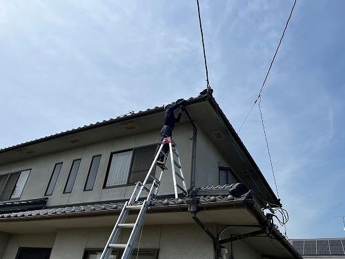 福山市の一軒家で詰まって雨水が溢れる集水器を交換しました