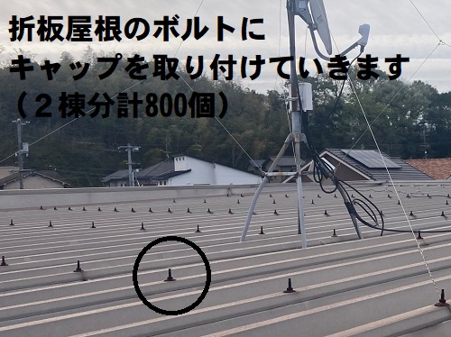 福山市にて集合住宅の折板屋根に雨漏り対策でボルトキャップ設置施工業者