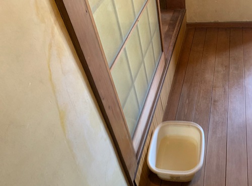 福山市で室内天井から雨が落ちてくるセメント瓦屋根の雨漏り調査室内天井から雨水が落ちてバケツ一杯になる