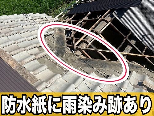 福山市にて倉庫内で雨漏りの為、板金取替や波板葺き替え工事