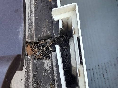 福山市雨樋調査