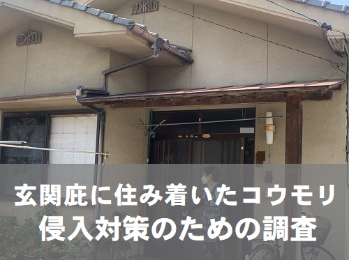 福山市にてコウモリ侵入対策で玄関庇の板金カバー工法を提案対象の住宅玄関屋根