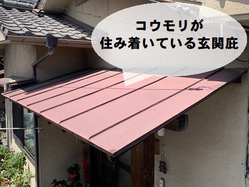 福山市にてコウモリ侵入対策で玄関庇の板金カバー工法を提案！害獣駆除でなく浸入防止案