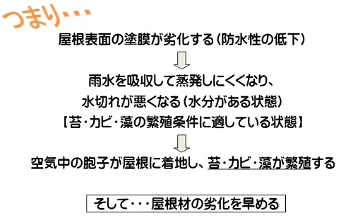 屋根の苔カビ藻の発生原因