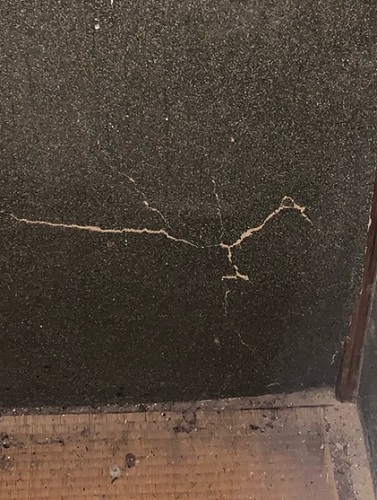 福山市はがれた土壁の室内からの調査