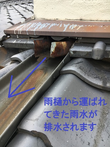 福山市雨どい調査排水口