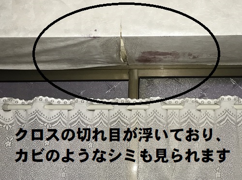 尾道市雨漏り調査