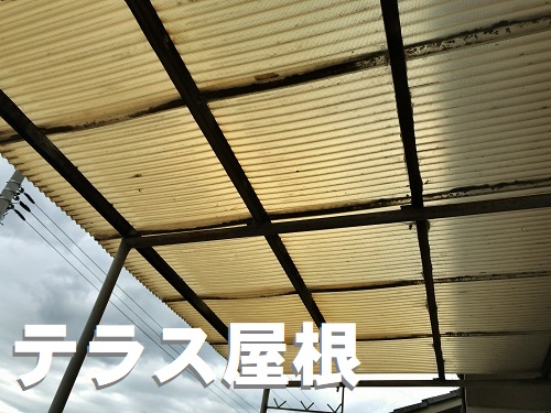 府中市ベランダ調査