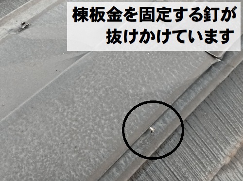 福山市棟板金補修工事棟板金の抜けかけた釘