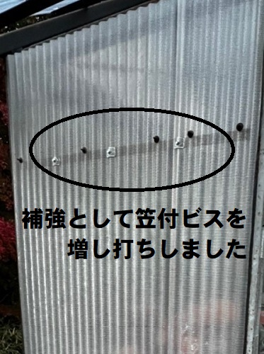 尾道市にて強風被害に遭ったビニールハウスを火災保険利用で屋根補修工事外れた壁を補強でビス増し打ち補修