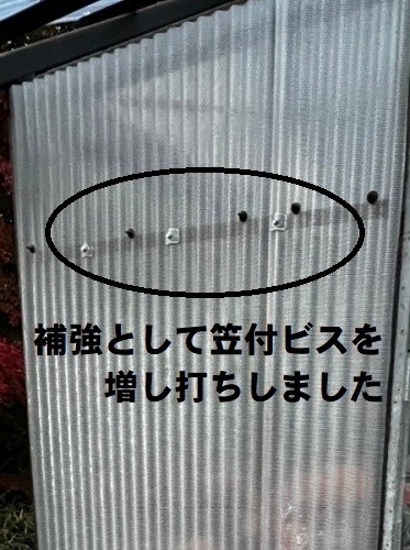尾道市の温室屋根工事にポリカ波板とガルバリウム鋼板使用波板用ビスで補強した壁