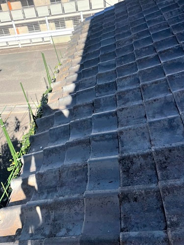 福山市にて雨漏りしていた屋根瓦差し替え補修セメント瓦葺き完了後