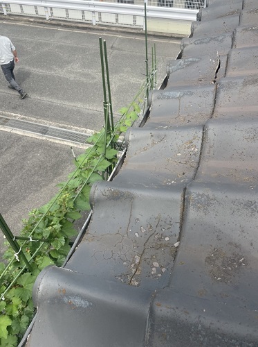 福山市で瓦屋根の雨漏り修理にセメント瓦差し替え西側下屋セメント瓦からセメント瓦へ差し替えビフォー