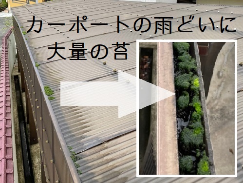 福山市カーポート屋根材取り替え工事雨樋に大量のコケ