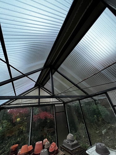 尾道市の温室屋根工事にポリカーボネート製波板とガルバリウム鋼板使用工事完了後内観)