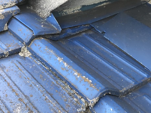 府中市セメント瓦雨漏り調査