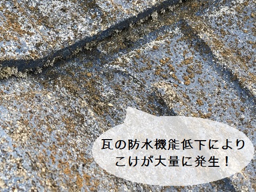 府中市雨漏り点検セメント瓦の防水機能低下によるこけ
