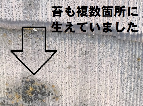 府中市にて庭に落ちてきた屋根材をきっかけに行ったスレート屋根点検屋根材に苔が大量発生